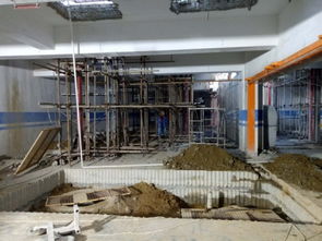 建筑材料的演進(jìn)與未來展望